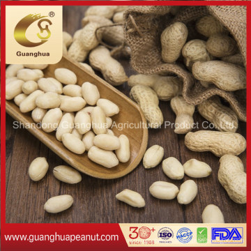 High Grade Blanched Peanut Kernels with Ce